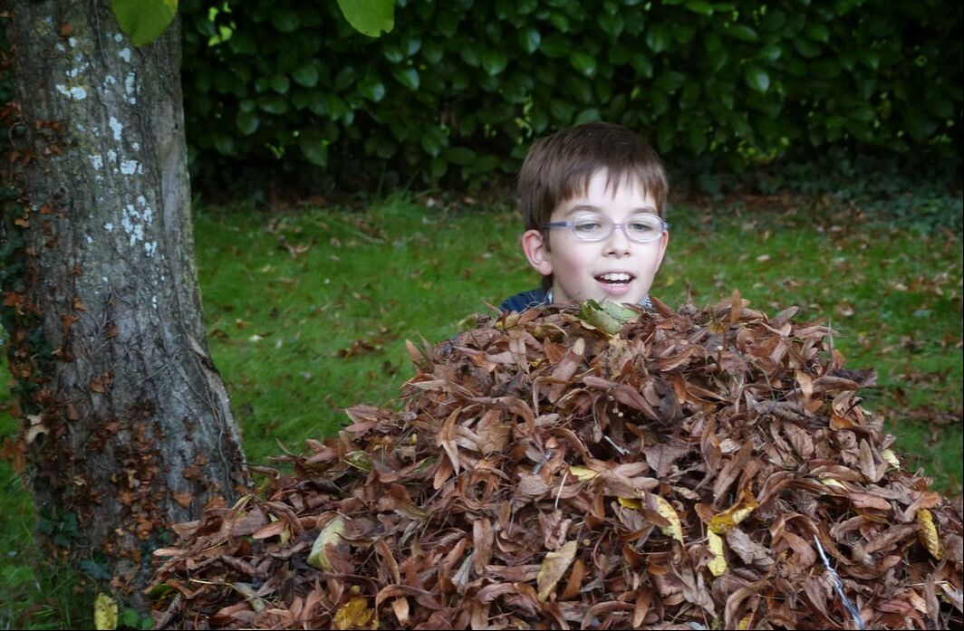 A neuf ans, aux aguets parmi les feuilles